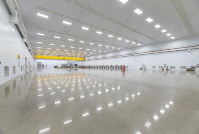 研究揭示肺炎免疫新機制，為臨床診治提供新靶點